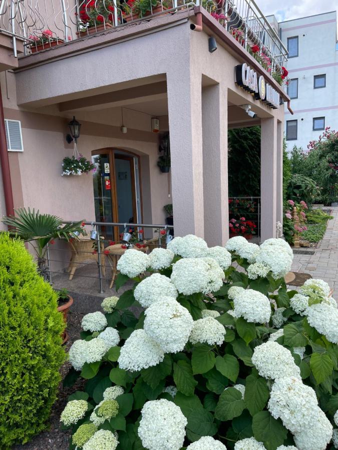 Ametist Casa Leului Hotel Navodari Ngoại thất bức ảnh