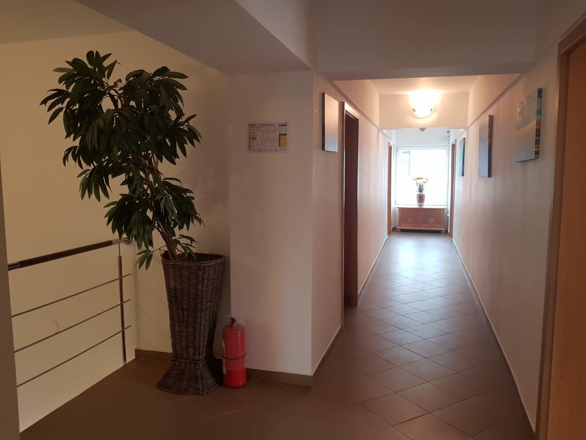 Ametist Casa Leului Hotel Navodari Ngoại thất bức ảnh